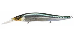 Megabass Ito Vision 110+1 SW -go fishing 110 1 Crusiing green