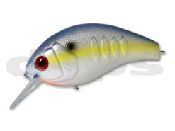 Korrigan Magnum -go fishing 16 Sexy Shad