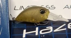 Haze -go fishing 20220106 131938