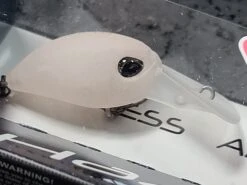 Haze -go fishing 20220106 132058