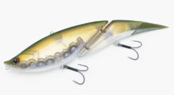 Elements Davinci 190 -go fishing 20220323 GPshiner 2 SNS 1