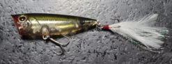 OB-68 Popper -go fishing 20220719 163859
