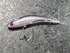 ISM Pull -go fishing 20220909 094419