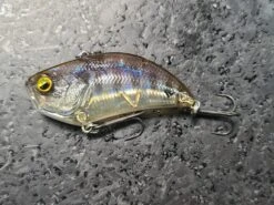 Level Vib -go fishing 20220929 101311 55c2c450 cffe 44c9 a7a8 ddfc13da9fd9