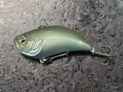 Level Vib -go fishing 20220929 101343 ff26fcf8 22dc 4e9e b6b4 35750b8e3c04