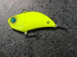 Level Vib -go fishing 20220929 101446 3c841598 9d51 4f7c 925b 4e8f7b86d00c