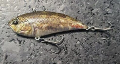 Vibration 68 G-Fix -go fishing 20221013 103423