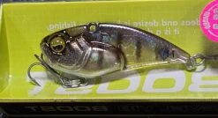 Level Vib Boost -go fishing 20221028 142909