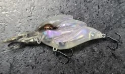 Magnum Alcatraz 8 Magnum Alcatraz -go fishing 20230103 135452