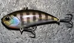 Apex Tune -go fishing 20230223 181039