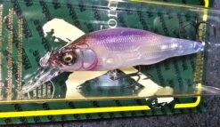Megabass X-80 Trick Darter Special Run Colors 9 Megabass X-80 Trick Darter Special Run Colors -go fishing 20230622 145904