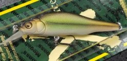 Megabass X-80 Trick Darter Special Run Colors 7 Megabass X-80 Trick Darter Special Run Colors -go fishing 20230622 145959
