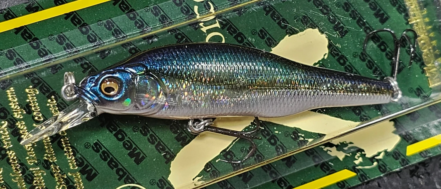 Megabass X-80 Trick Darter Special Run Colors 2 Megabass X-80 Trick Darter Special Run Colors - Image 2