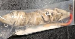 PB Rat 4 Piece -go fishing 20230713 115018 f49d4028 69d9 4cc6 bddf 4b0441987ac5