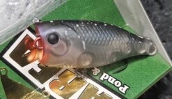 Lucky Craft Poko Poko Cra Pea -go fishing 20230810 151611