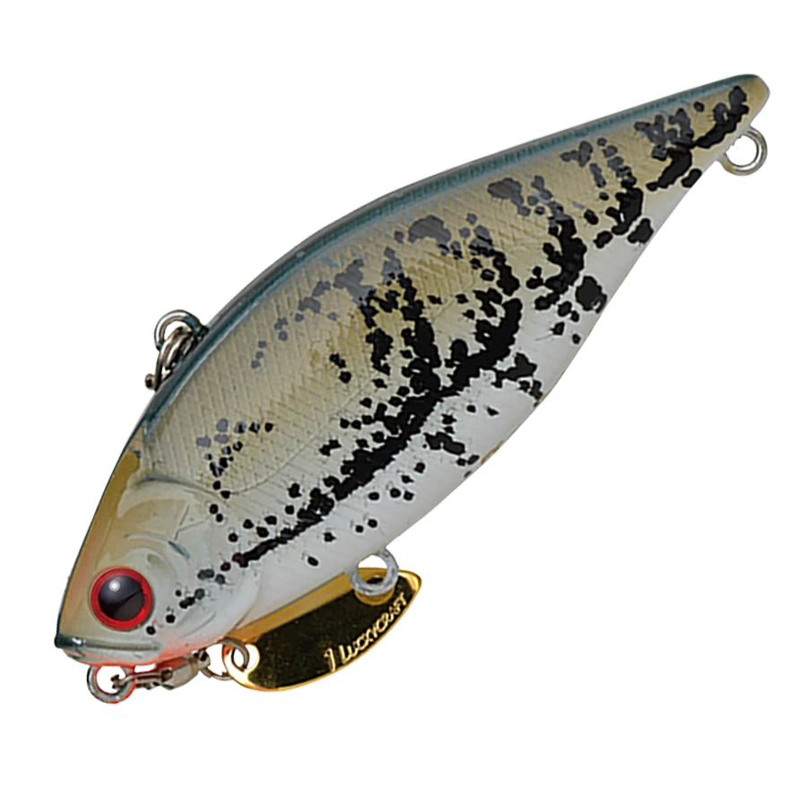 LV 500GP TG 8 LV 500GP TG - Image 8