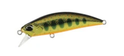 Spearhead Ryuki 50S -go fishing 50S Gold Yamame