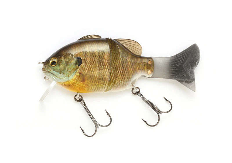 Gill Roid Minnie 1 Gill Roid Minnie