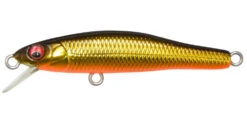 Megabass Great Hunting 55 Heavy Duty -go fishing 55 MKinkuro