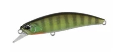 Spearhead Ryuki 60S -go fishing 60S Chart Gill