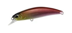 Spearhead Ryuki 60S -go fishing 60S Himemasu