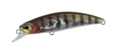 Spearhead Ryuki 60S -go fishing 60S Prism Gill