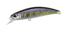 Spearhead Ryuki 60S -go fishing 60S River Bait