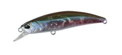 Spearhead Ryuki 60S -go fishing 60S Wakasagi