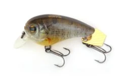 Waddle Bats 14 Waddle Bats -go fishing 749 scaled 1