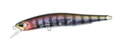 Realis Minnow 80SP -go fishing 80SPPrismGill