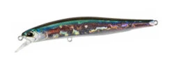 Realis Minnow 80SP -go fishing 80SPWakasagi