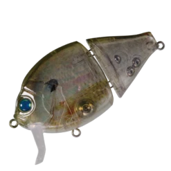 Boogie Back -go fishing A01NaturalBoogieShell