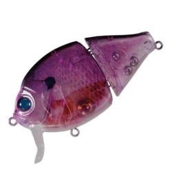 Boogie Back -go fishing A04Nadesico