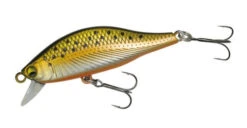 A2 Flat 45S -go fishing A2Flat08Dekahaya