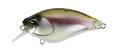Apex Crank 66 Squared -go fishing Apex Komochi Wakasagi