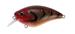Apex Crank 66 Squared -go fishing Apex Omni Craw