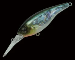 Aryton 63MR 25 Aryton 63MR -go fishing AyrtonSkillSapphire10