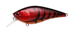 Lucky Craft Fat CB BDS 3 -go fishing BDS3 Spring Craw