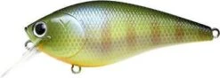 Lucky Craft Fat CB BDS 3 -go fishing BDS 3 BE gill