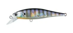 Lucky Craft BFreeze 65SP -go fishing B freeze 65 Gill