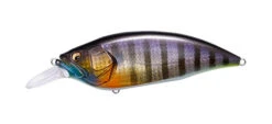 Megabass Big M 4.0 -go fishing Big M GG Wild Gill