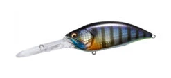 Megabass Big M 7.5 -go fishing Big M GG wild Gill 00571972 8195 4597 b5c6 c8e93e999cdc