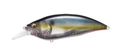 Megabass Big M 4.0 -go fishing Big M Jukucho Shad