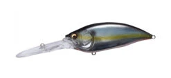 Megabass Big M 7.5 -go fishing Big M Jukucho Shad 1