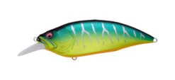 Megabass Big M 4.0 -go fishing Big M Mat Tiger