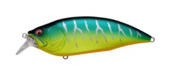 Megabass Big M 2.0 -go fishing Big M Mat Tiger 1