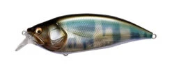 Megabass Big M 2.0 -go fishing Big M Wagin Hasu600