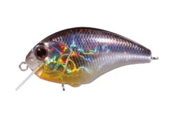 Tiny Blitz -go fishing BlitzH09