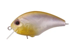 Tiny Blitz -go fishing BlitzH23