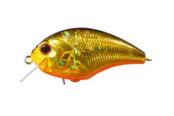 Tiny Blitz -go fishing Blitzh04US